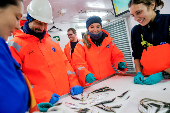 Det ble ikke store fangsten denne gangen. Foto: Heiko Junge, NTB